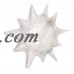 Sculptamold® Modeling Compound, 3 lb.   556485312